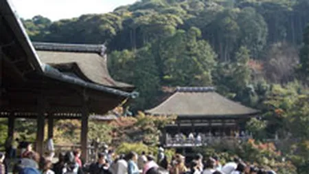 FPTR: Numarul turistilor straini in Romania creste anul acesta cu 28-30%