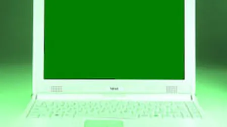 Bursa deschide sedinta de vineri pe verde si cu rulaj modest