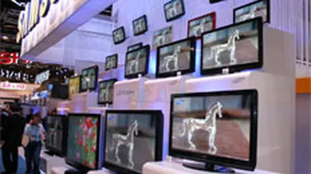 Flamingo: Piata LCD-urilor se va dubla in 2008, pana la 300 mil. euro