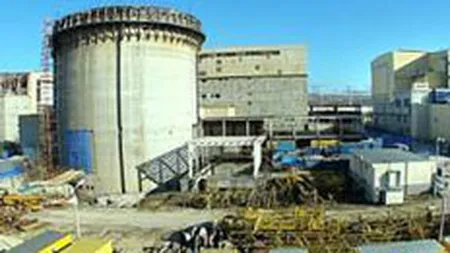 Nuclearelectrica vrea sa produca 18% din energia electrica a Romaniei in 2008