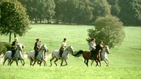 Investitite de 1 mil. euro intr-un hotel destinat turismului ecvestru