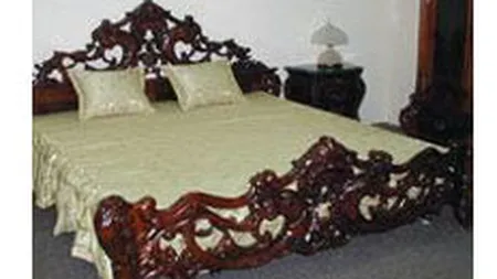 Bunurile din vila lui Ceausescu de la Bucium vor fi scoase la licitatie