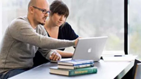 INS: Intelectualii s-au numarat printre cei mai cautati angajati in 2007