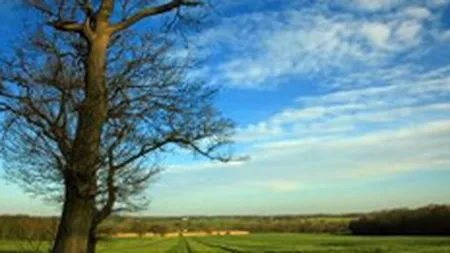 Agricover Credit IFN si-a propus sa acorde credite agricole de 30 mil. euro in 2009