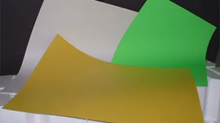 Biro-Media Trading estimeaza o crestere de 50% a afacerilor, in 2008