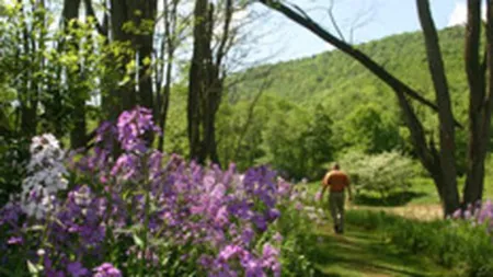 Petrom si Ogilvy, premiate de IAA Worldwide pentru spotul \Andrei\