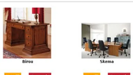 Online-ul aduce o treime din afacerile unui importator timisorean de mobila