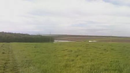 RomDeals investeste 10-12 mil. euro in 200 apartamente in Capitala