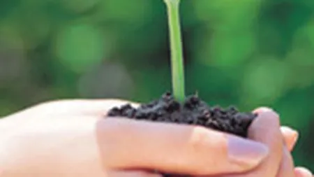 Bio Solaris: Primul magazin de produse ecologice in Bucuresti, cu 50.000 euro