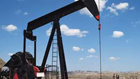 Petrolexportimport estimeaza un profit de 3,33 mil. lei in 2008