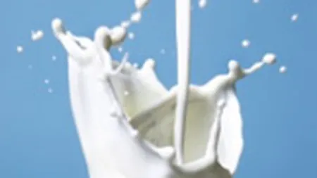 Danone Romania estimeaza afaceri de circa 120 mil. euro anul acesta