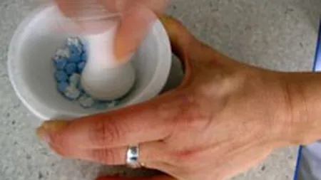 Veniturile Ropharma au crescut cu 15%, la 20 mil. euro in 2007