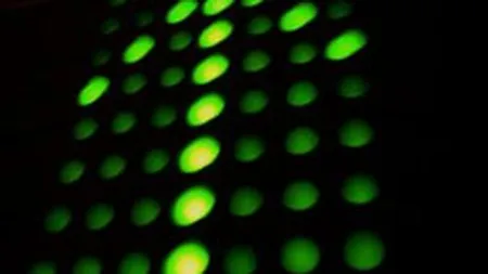 Rezultatele pozitive ale companiilor pe T1 apreciaza indicii Bursei