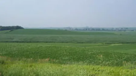 DTZ: Terenurile din estul Capitalei s-au scumpit mult in ultimii 3 ani, dar acum stagneaza