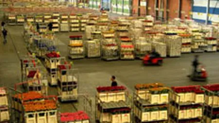 Centru logistic in vestul Capitalei, printr-o investitie de 10 mil. euro