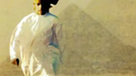 Romanul Alchimistul, de Coelho, va fi ecranizat cu circa 60 mil. $