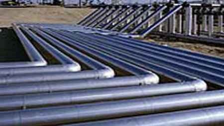 Distrigaz Sud a realizat un profit de 50,4 mil. euro in 2007