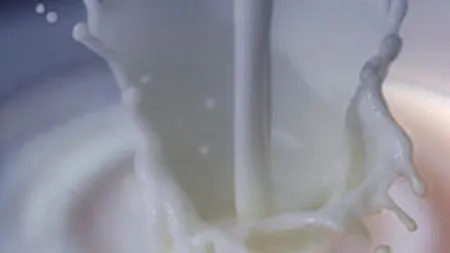 Fondul de investitii RC2 a cumparat actiuni Albalact de 3,3 mil. euro