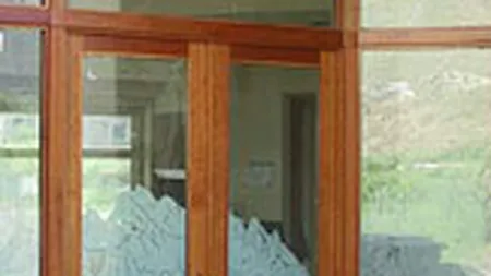 Sotii Harangus vor sa vanda Plastotherm cu 3 mil. euro pentru ca pleaca din tara