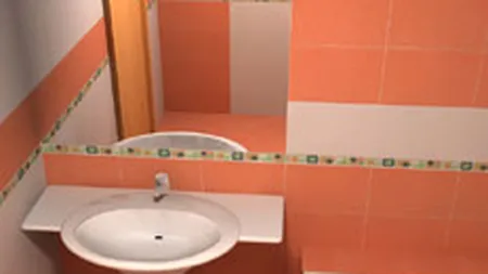 Alfa Ceramic estimeaza cresterea vanzarilor cu 133% in 2008