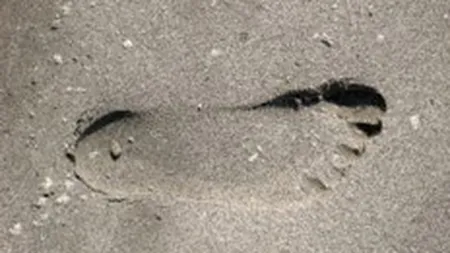 Cei mai numerosi turisti straini in Romania, la vara: germanii, francezii si austriecii