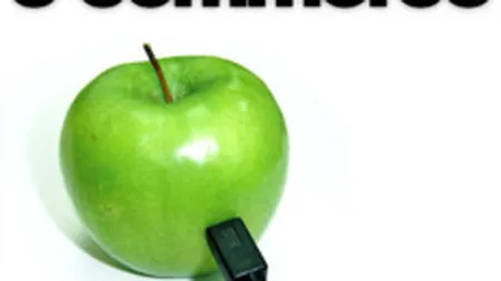 Comertul electronic din Romania castiga 100 milioane de euro in plus, anul acesta