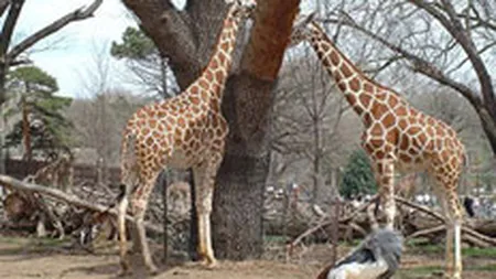 O ordonanta de urgenta protejeaza mediul de speculatiile imobiliare