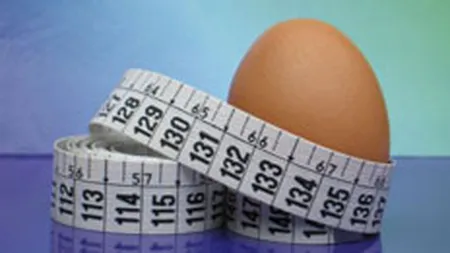 Veste buna pentru agricultura: Exporturile de oua depasesc importurile