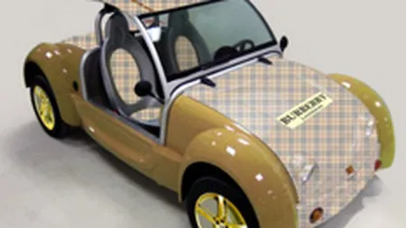 \Masinutele\ Acrea vor creste afacerile Zest Publicis cu 30% in 2009