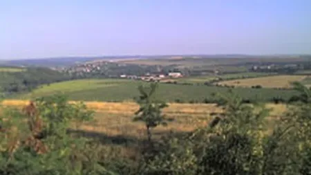 Grupul Volskbank: Avem semnale din piata ca pretul terenurilor va scadea