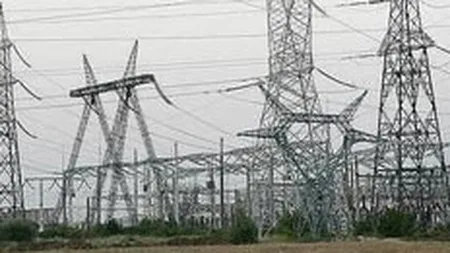 Electrica majoreaza cu 12 mil. euro capitalul societatilor de distributie
