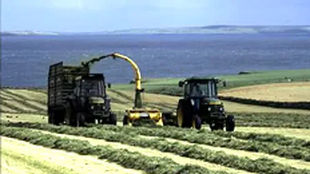 Firma daneza FirstFarms cumpara Agrisole pentru terenuri de 3 mil. euro