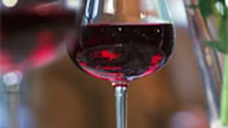 Vinexpert: Contul pe Twitter ne poate creste afacerea cu 7-8% anul acesta