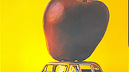 Mentorul de milioane. Un mod simplu de a avea succes in munca si in viata