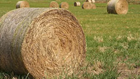 95% din Combavi Buftea s-a transferat miercuri pe Rasdaq pentru 5,95 mil. euro