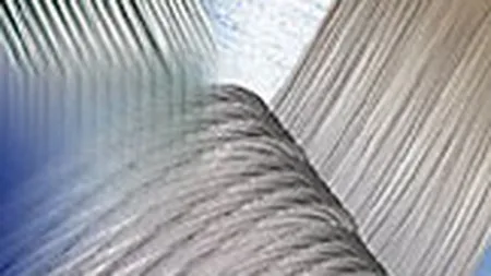 Cord Buzau a trecut pe profit si si-a dublat veniturile in S1 2008