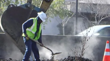 Inscut a inregistrat o pierdere de 300.000 euro in S1