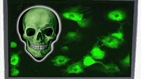 \Troienii\ domina topul amenintarilor software din Romania la jumatatea anului