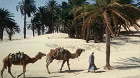 Pachetele turistice cu transport charter, o piata de peste 100 mil. euro in 2008