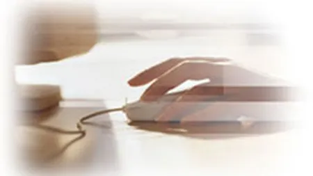 eMag.ro reintra pe profit net in 2007, dupa trei ani