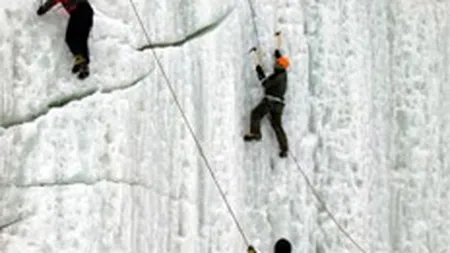 Cum au evoluat cele mai mari companii din Romania in 2007