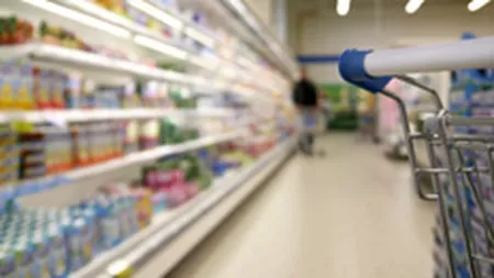 La Fourmi si-a mentinut pierderea de 2,23 milioane euro si in 2007