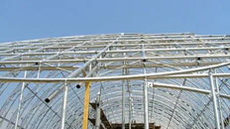 Grupul de constructii CCCF vizeaza afaceri de 250 mil. euro la anul