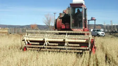 Economia a fost viguroasa si in T2, dar va pierde sprijinul agriculturii in toamna