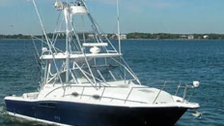 Willon Harbour asteapta vanzari de 100.000 euro in sezonul de reduceri