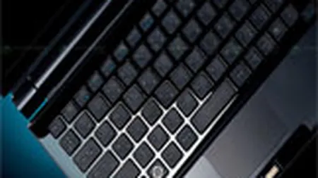 Sony va retrage de pe piata 440.000 de modele Sony Vaio