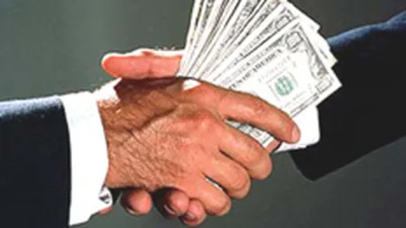 Evolore: afaceri de 78.000 euro in S1, tinta de 3,5 mil. euro pe 2008