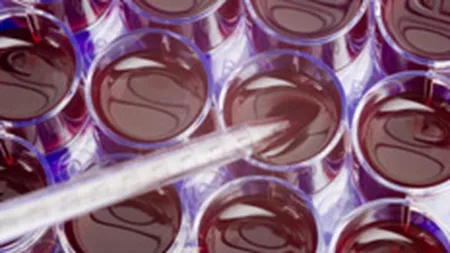 Stem-Health Unirea, prima societate infiintata exclusiv online in Romania