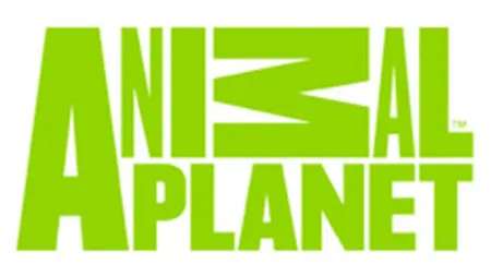 Animal Planet se relanseaza si incepe sa vanda publicitate in Romania