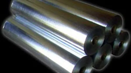 Alro a investit peste 61 mil. $ in S1 in tehnologie si mediu